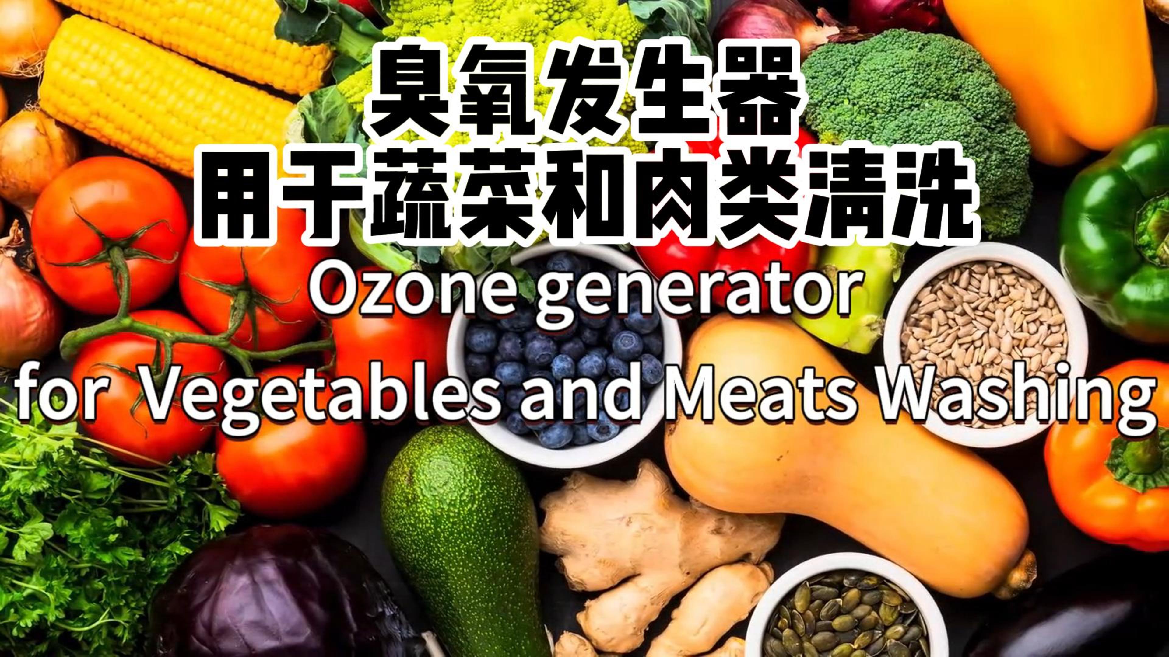 臭氧發(fā)生器在食品加工和儲存過程中用于蔬菜、水果和肉類的消毒